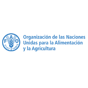 Aliado 9