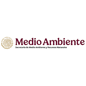 Aliado 20