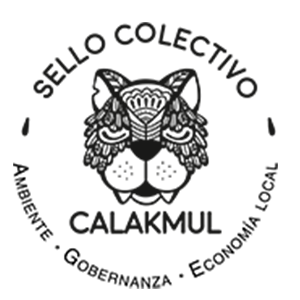 Aliado 25