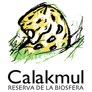 Calakmul Reserva de la Biosfera