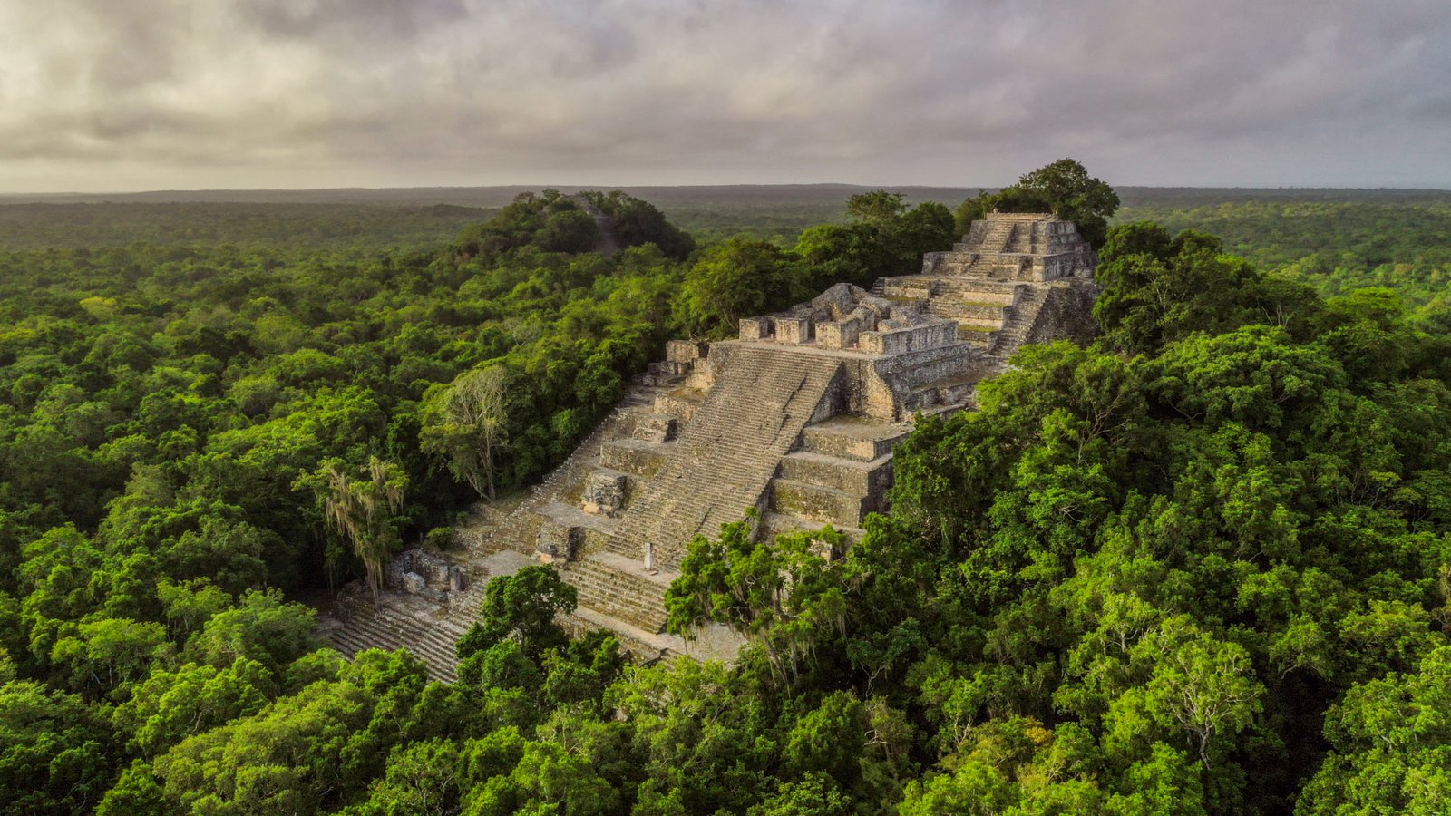 Selva Maya